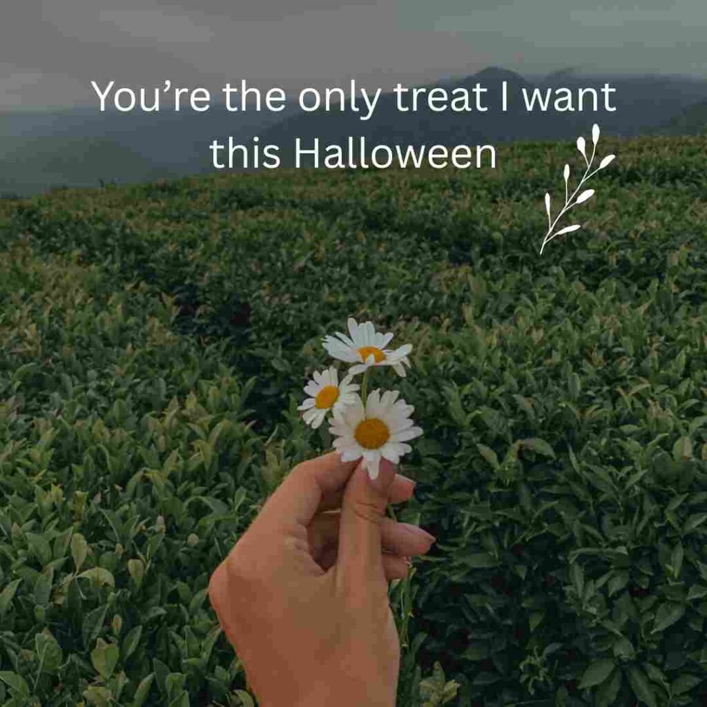 Halloween Rizz Lines 