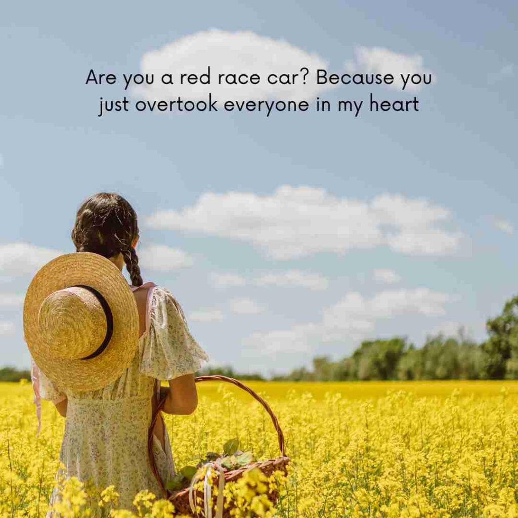 Lightning Mcqueen Rizz Lines 