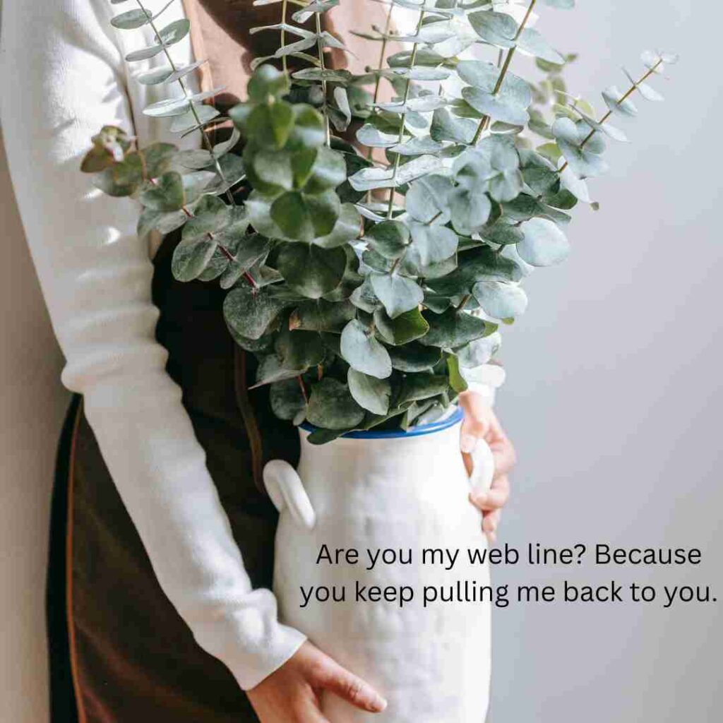 Spiderman Rizz Lines