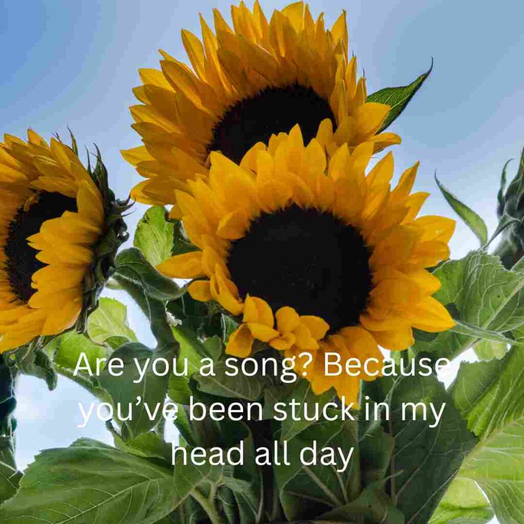 Ultimate rizz pickup lines