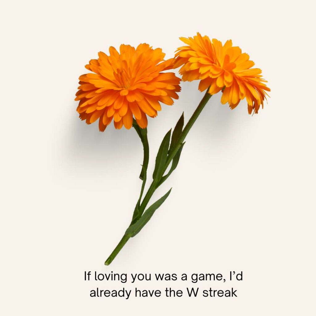 W Rizz Pick Up Lines