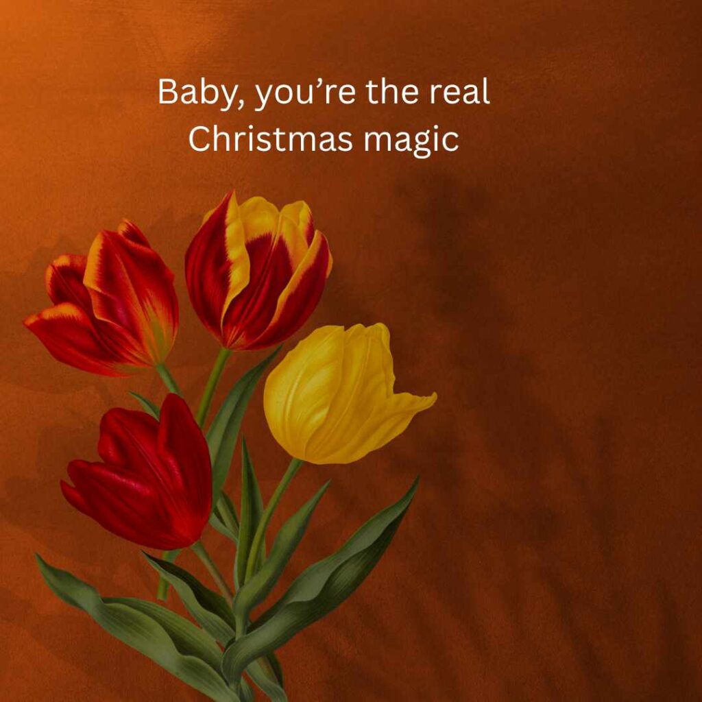 Christmas Pick Up Lines