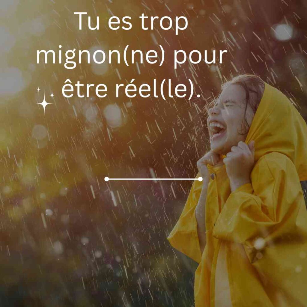 French Pick Up Lines