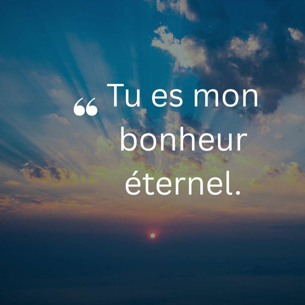French Pick Up Lines