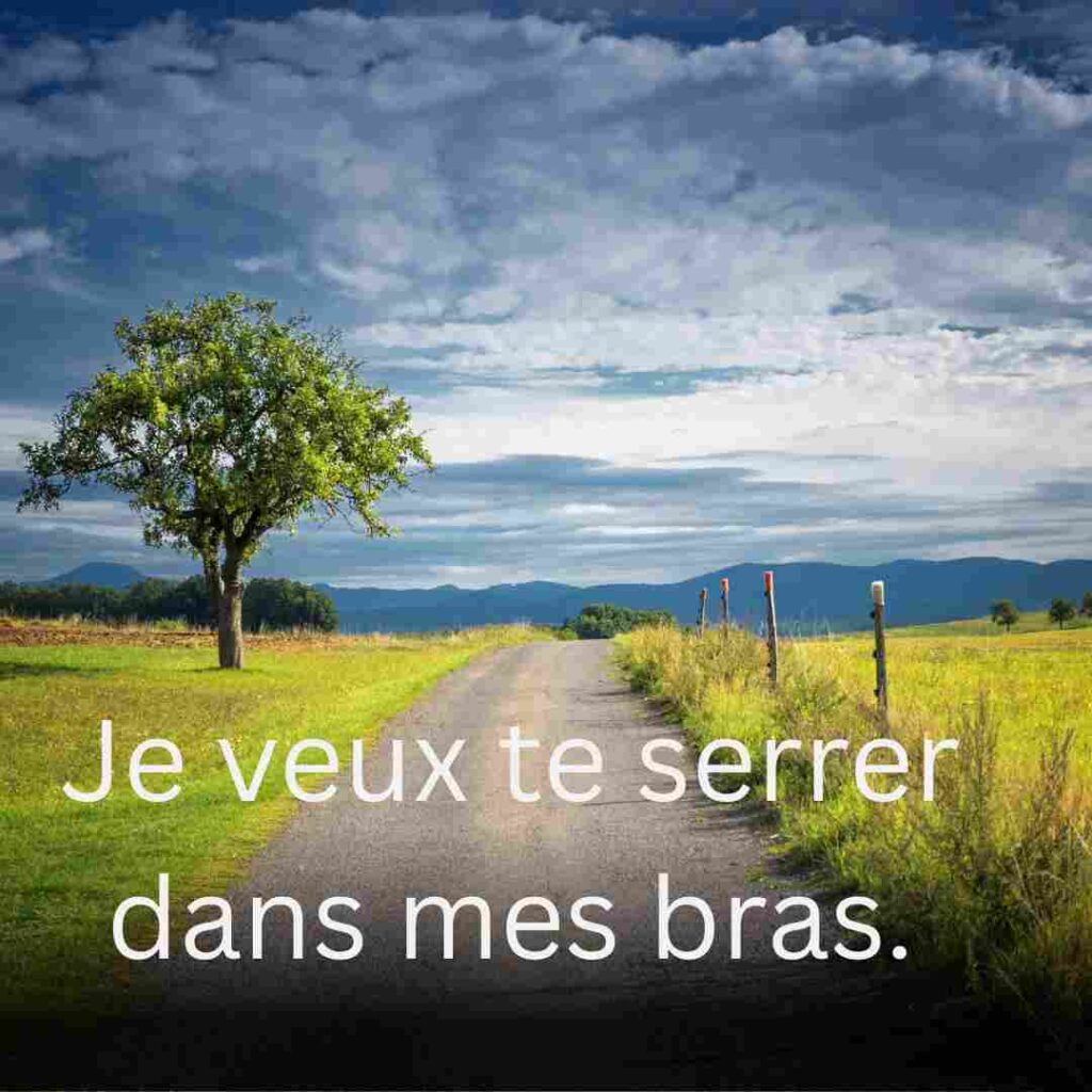 French Pick Up Lines