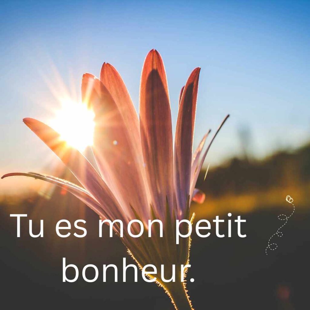French Pick Up Lines