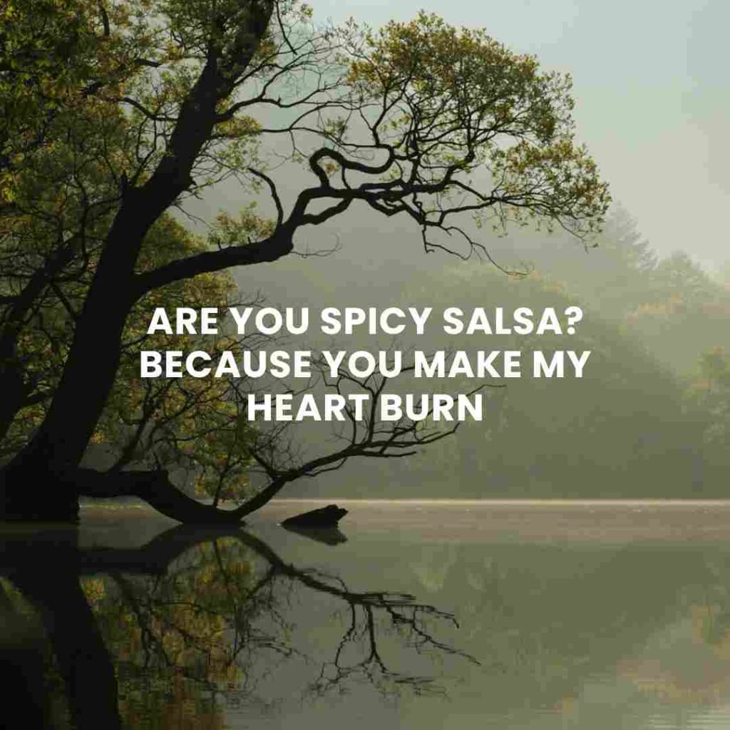 Mexican Pick Up Lines 