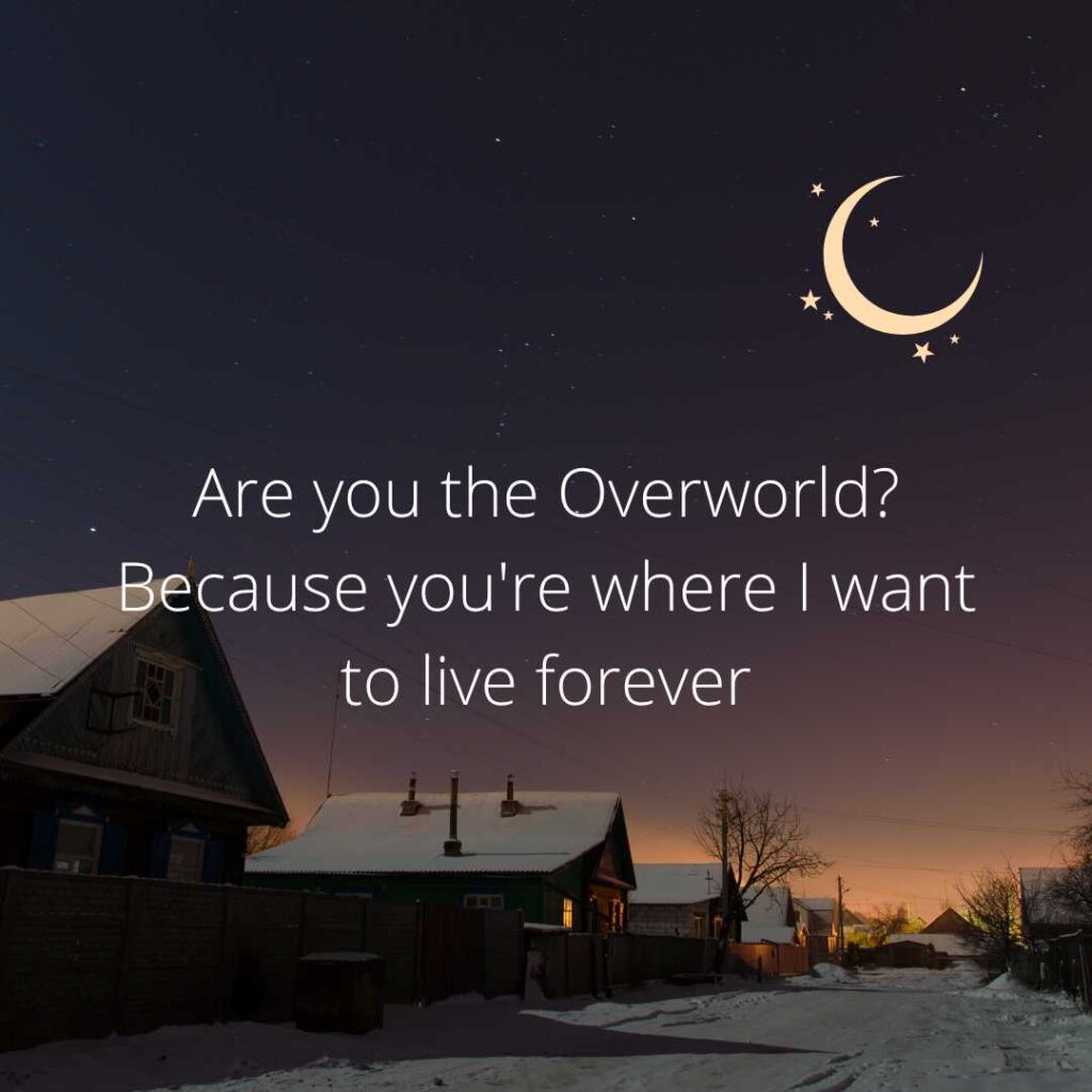 Minecraft Pick Up Lines 