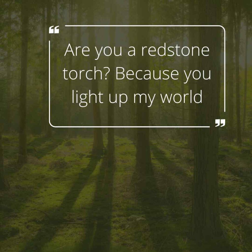 Minecraft Pick Up Lines