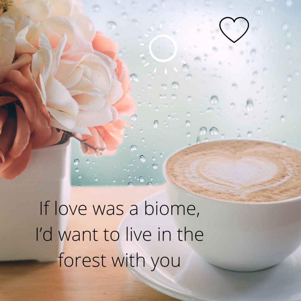 Minecraft Pick Up Lines 