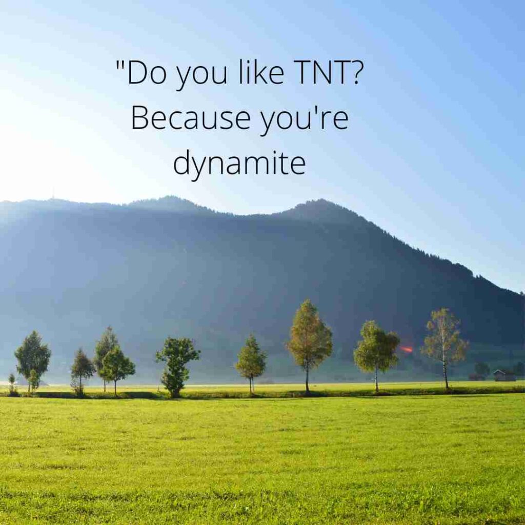 Minecraft Pick Up Lines