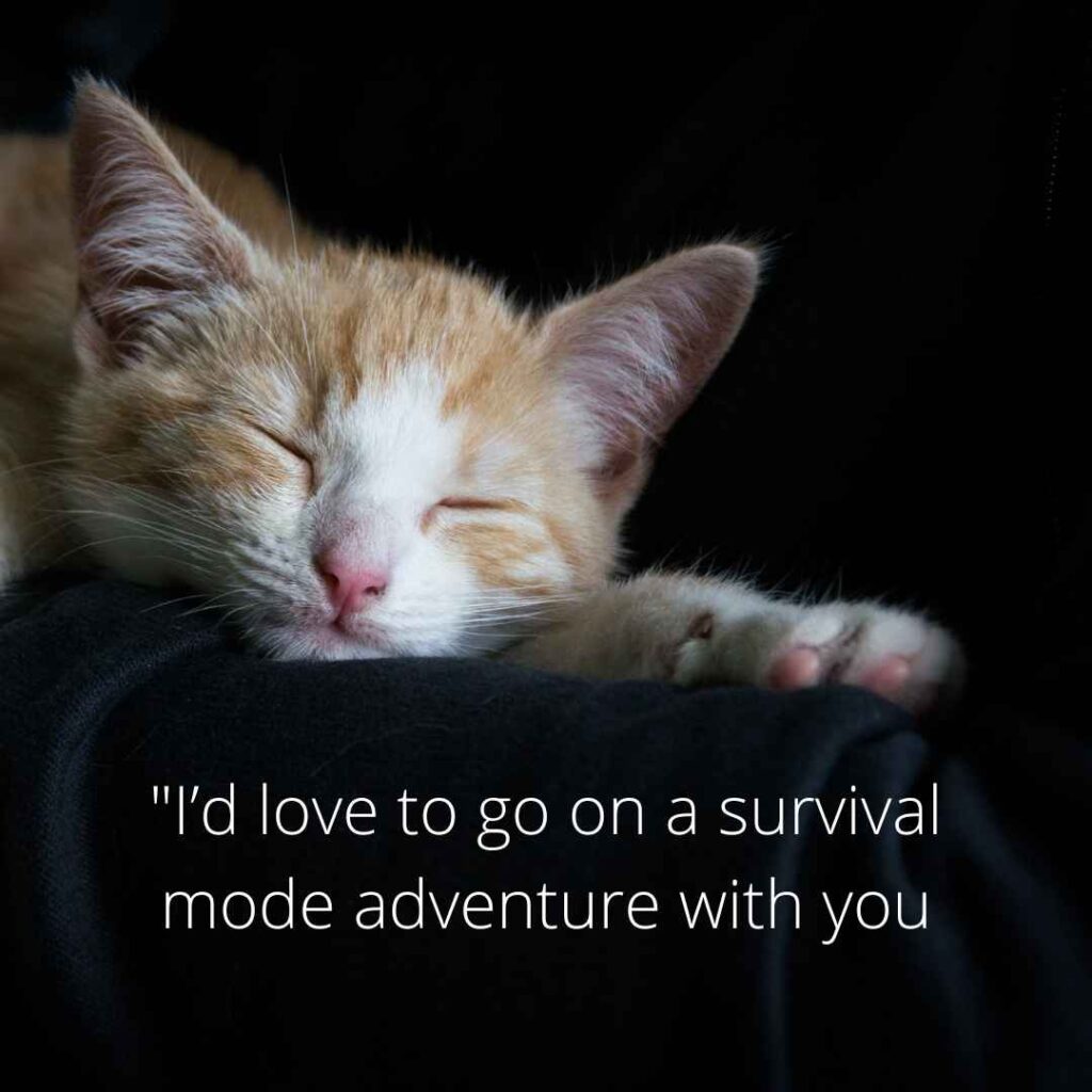 Minecraft Pick Up Lines 