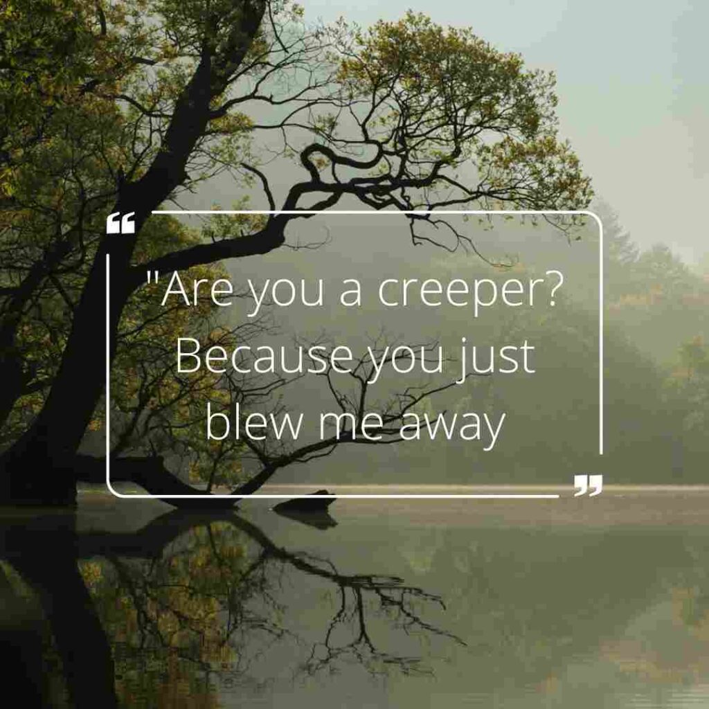 Minecraft Pick Up Lines 