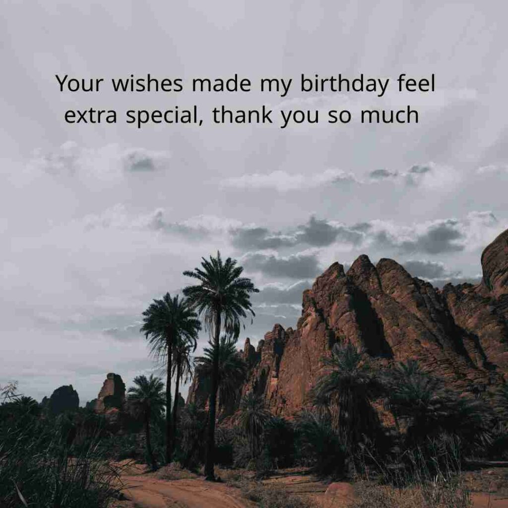 Thank You Message For Birthday Wishes 
