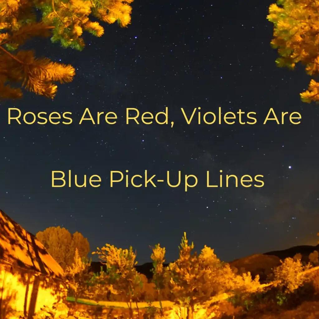 Roses Are Red Violets Are Blue Pick Up Lines